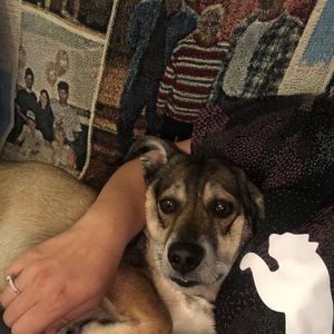 Meet your Posher, Evelyn